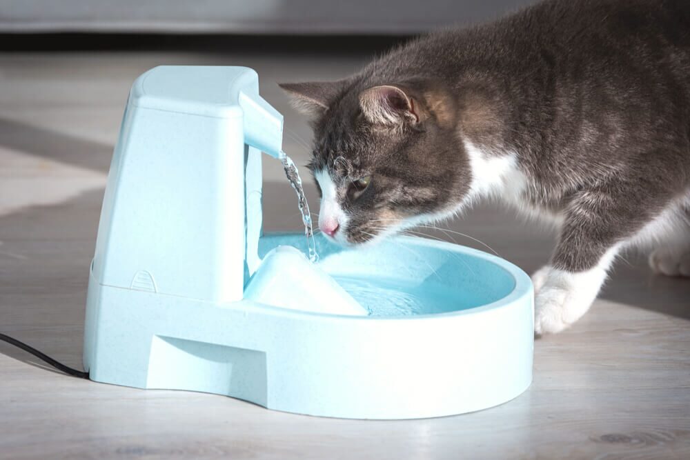 Питьевой фонтан для животных